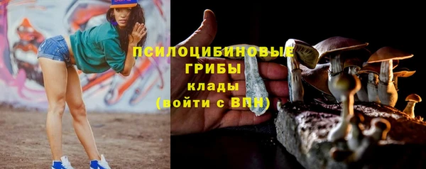 гидропоника Кодинск