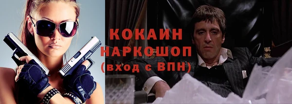 гидропоника Кодинск