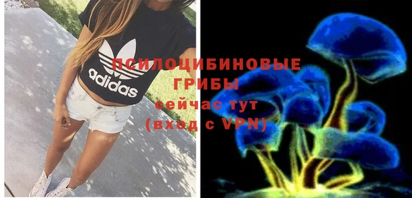 мет Козловка