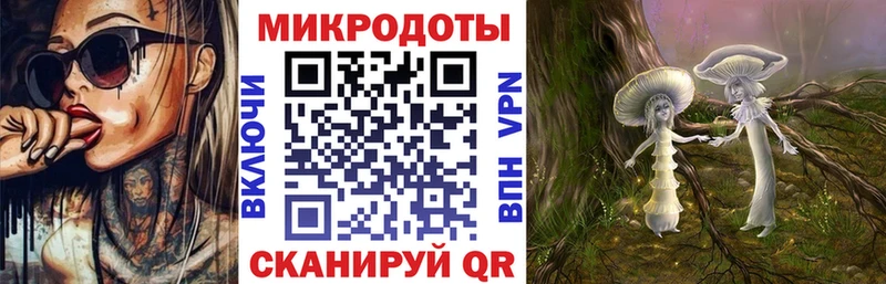 Псилоцибиновые грибы GOLDEN TEACHER  Купить закладки  Онега 